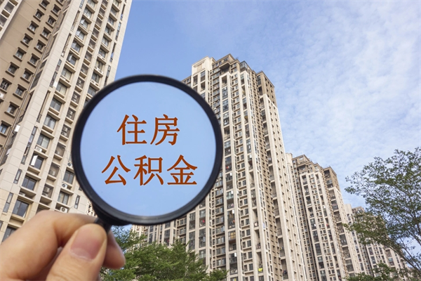 查询我的住房公积金-开封公积金代办平台